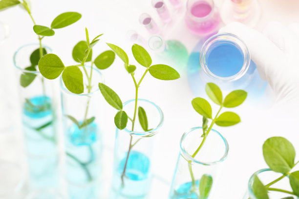 研究图像生物技术图片下载