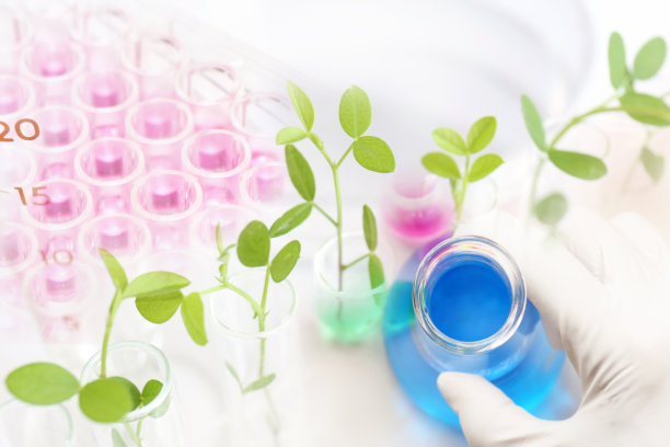 研究图像生物技术图片下载