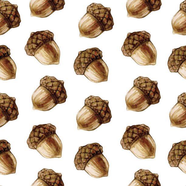 水彩无缝图案与橡子在白色的背景。图片下载