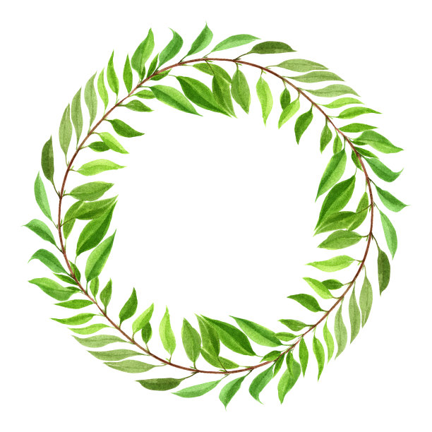 分支用树叶。植物的水彩。工厂模式。使用印刷材料，标志，物品，网站，地图，海报，明信片，包装。图片下载