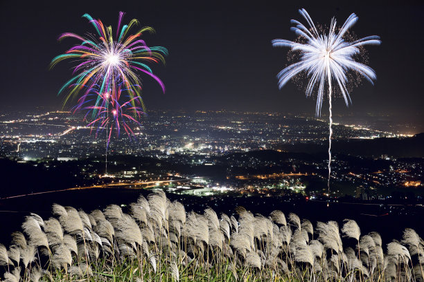 烟花表演和日本潘帕斯草。图片下载