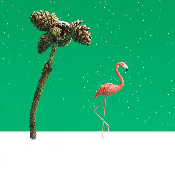冬天的灵感的概念。在松树树枝和松果做成的棕榈树上下雪，火烈鸟在绿色的背景下侧身飞翔。图片下载