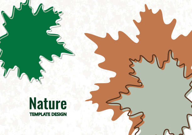 明亮的枫叶。创意设计。向量。图片下载