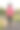 长发女孩在日落时分走在田间小路上图片下载