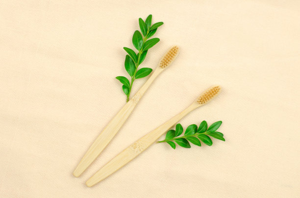两把木制牙刷和亚麻材料上的绿叶。天然个人护理产品图片下载