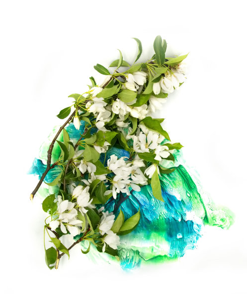 白色的果树花和手绘鲜艳的水彩斑点飞溅孤立在白色的背景上。设计元素的照片。用于卡片、明信片、请柬或婚礼装饰图片下载