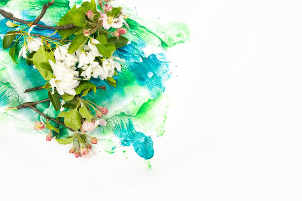 白色的水果、苹果、花朵和手绘水彩斑点在白色背景上。A4纸大小的边框照片，可自由复印文本。用于卡片、请柬或婚礼装饰图片下载