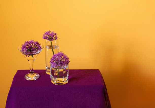 三朵紫红色的春天洋葱花，在暖黄色背景的透明玻璃上。彩色照片与自由的空白复制空间的文本。用于卡片、海报、网站装饰等图片下载