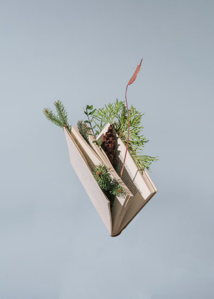 漂浮的书与松叶盛开从它自然柔和的色调和可回收的可持续复古外观图片下载