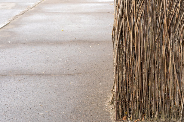 灰色沥青路附近缠绕在一起的棕色细长的树的根篱笆的照片。抽象自然背景图片下载
