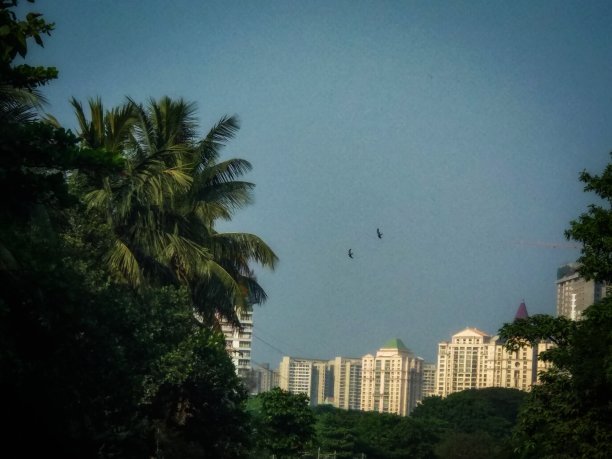 印度摩天大楼的美景图片下载