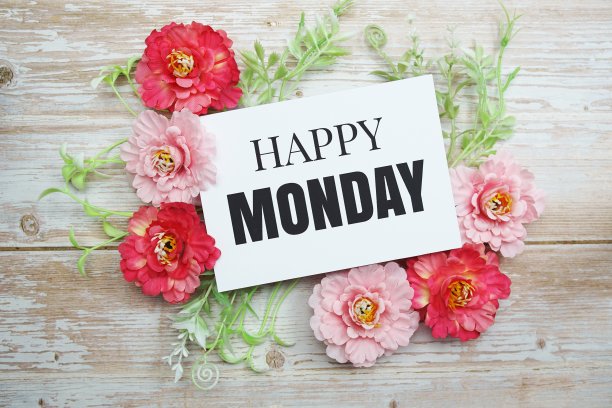快乐的星期一文本与木制背景上盛开的花朵图片下载