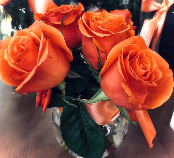 橙色玫瑰花束散焦图片下载