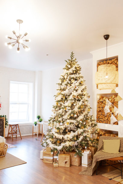 温馨舒适美丽的现代设计的房间以精致的浅色装饰圣诞树和壁炉装饰元素图片下载