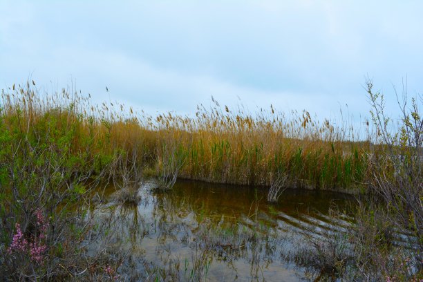 湖的性质图片下载
