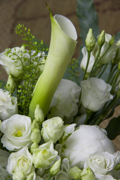 白色柔软的花束的一部分图片下载