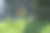铁链栅栏将两个财产或花园彼此分开图片下载