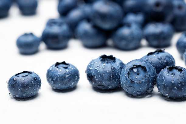 蓝莓果与露珠背景。图片下载