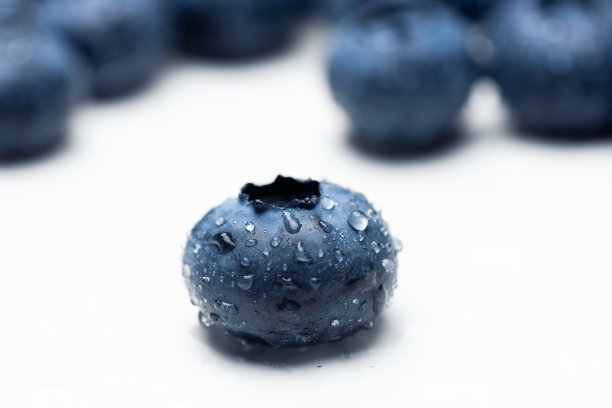 蓝莓果与露珠背景。图片下载