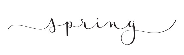 春天黑色毛笔书法横幅图片下载