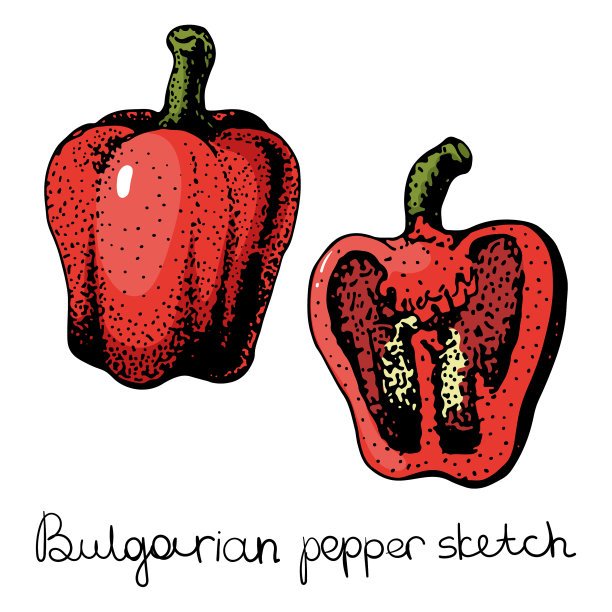 胡椒手画集蔬菜孤立对象图片下载