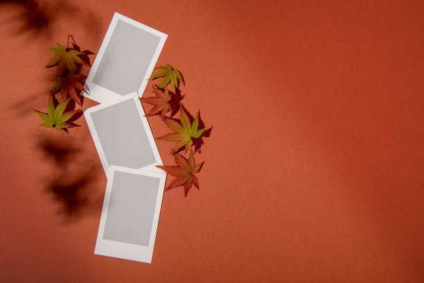 留下背景与copyspace图片下载