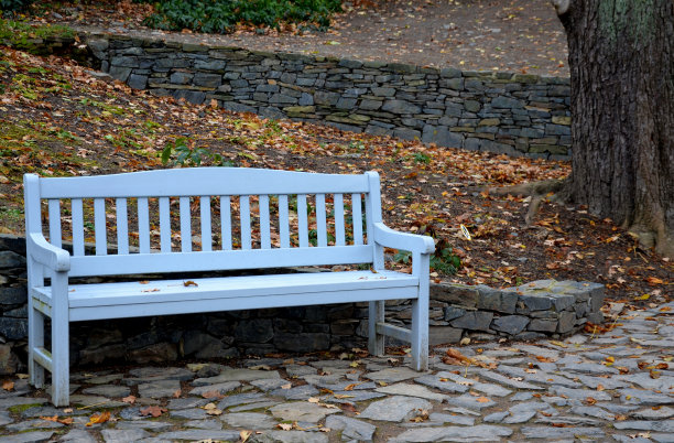 公园里的石质灰色路面上有木凳，低矮的挡土墙堆积着斑岩。玫瑰园的玫瑰园。地被，树和攀缘玫瑰在玫瑰与锻造金属图片下载