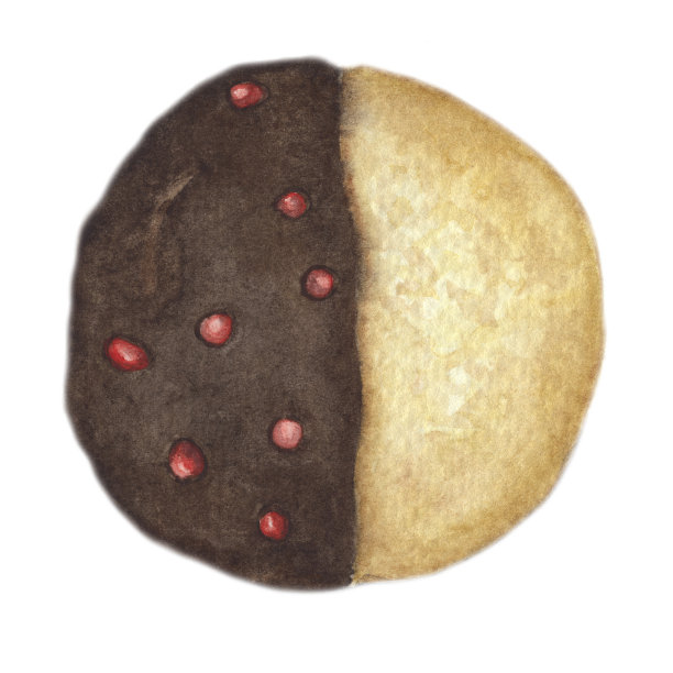 饼干与巧克力糖霜孤立在白色背景图片下载