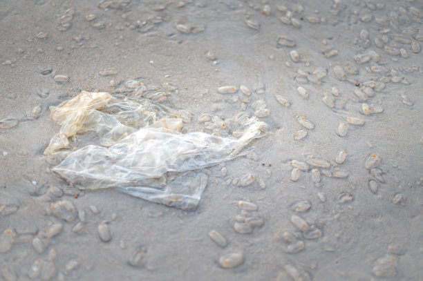 用过的塑料袋和果冻球被扔到海滩的海滩上。这是海滩上的污染。图片下载