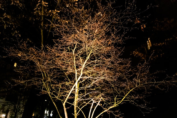 圣诞树装饰背景设计模板。明亮的发光灯，新年概念，云杉树上的玩具和球图片下载