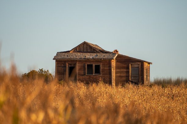 通过玉米秸秆的农家图片下载