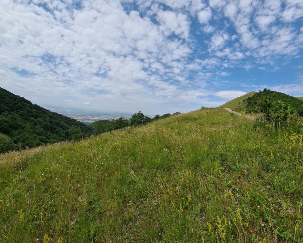 高加索矿泉水地区的美丽景色。俄罗斯，贝斯特山从山上俯瞰山景高加索矿泉水移动照片无人垂直复制空间空白spase为文本图片下载
