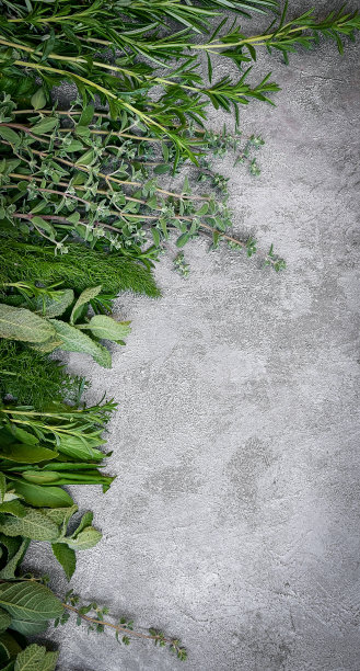 深色石头背景上的新鲜香草，有文字空间图片下载