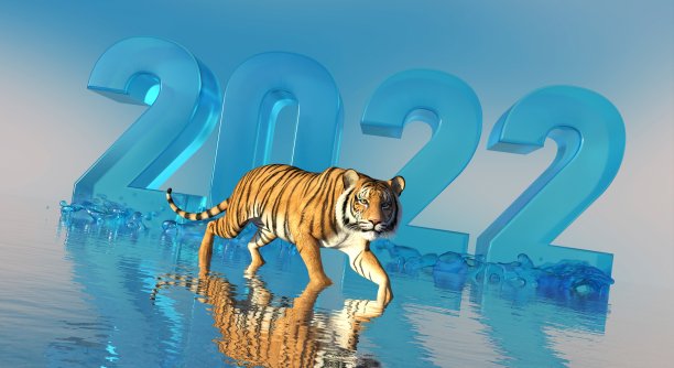 2022年虎年水三维插图图片下载