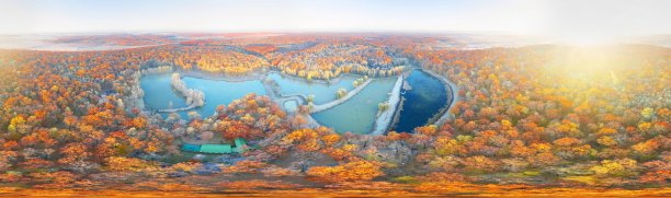 秋天森林里的湖泊图片下载