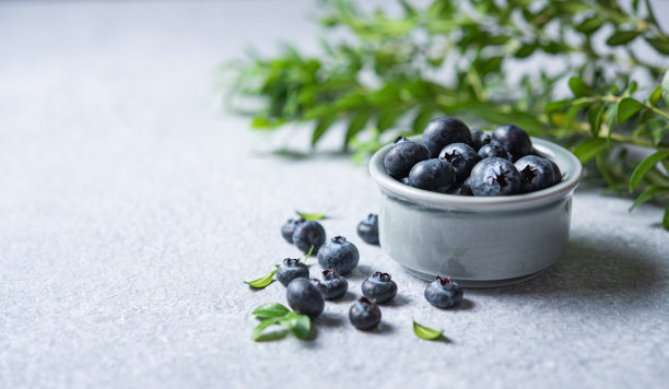 甜美新鲜的蓝莓放在碗里，蓝色的混凝土背景上有绿色的树枝。前视图，关闭和复制空间图片下载