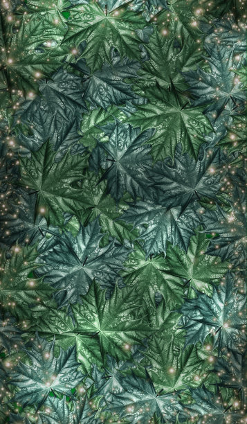 叶背景文本框架自然背景3D插图图片下载