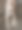 可爱的猫姜图片下载