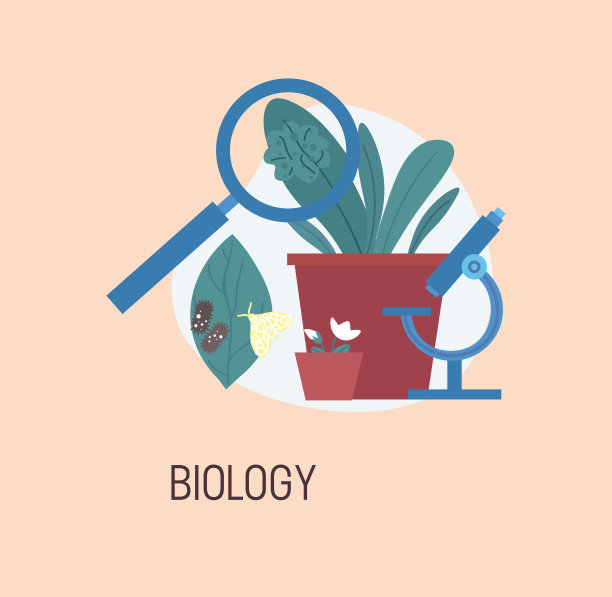 学校教育的图标图片下载