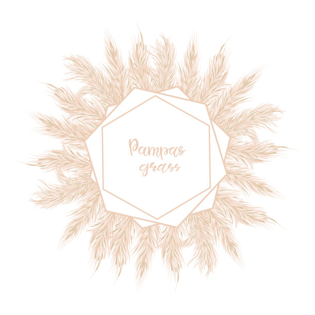 干燥的蒲苇草柔软的框架。用于婚礼请柬或明信片。图片下载