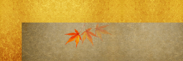 golde形象纸图片下载