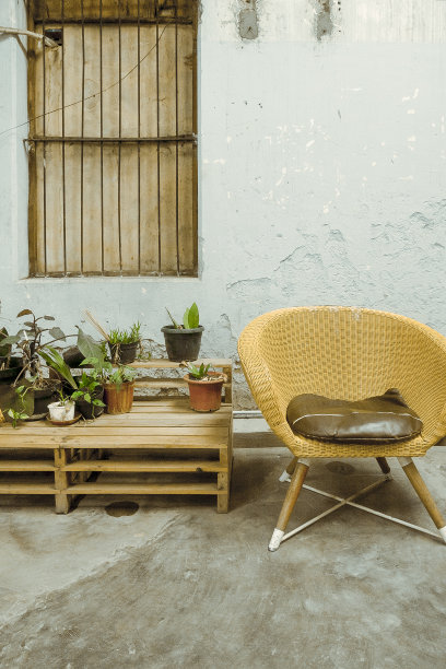复古复古的椅子和装饰植物的桌子图片下载