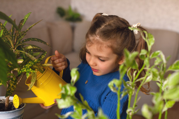 穿着蓝色衣服的小女孩在家里用黄色的喷壶给盆栽植物浇水图片下载