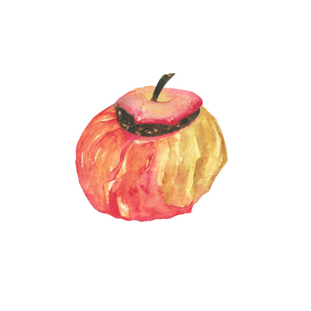 填充苹果与葡萄干孤立在白色背景。水彩手绘插图。甜蜜的秋天甜点。完美的菜单，卡片，打印。图片下载