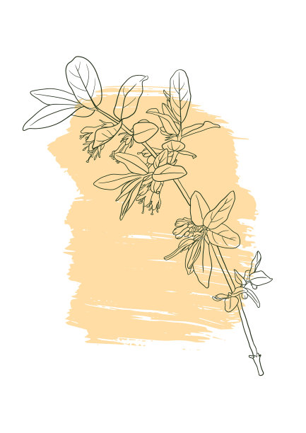 矢量画花海报图片下载