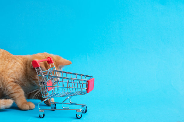 黄色小猫和蓝色背景的购物车图片下载