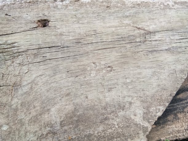 木材背景的俯视图图片下载