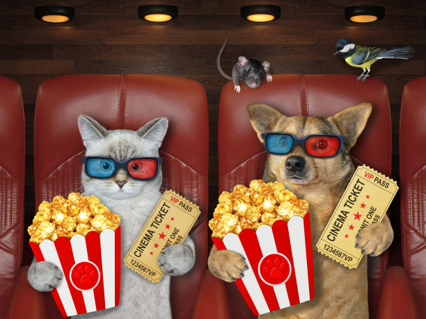 猫和狗在看电影图片下载