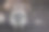 一只浣熊正在森林里休息图片下载