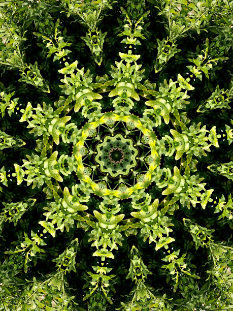 千变万化的油画树叶背景图片下载